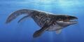 Mosasaur, a giant predatory monitor lizard from the time when sea monsters were real.