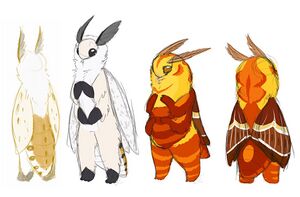 Mothkin 6.jpg