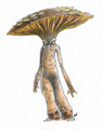 Thumbnail for version as of 20:21, 21 January 2025