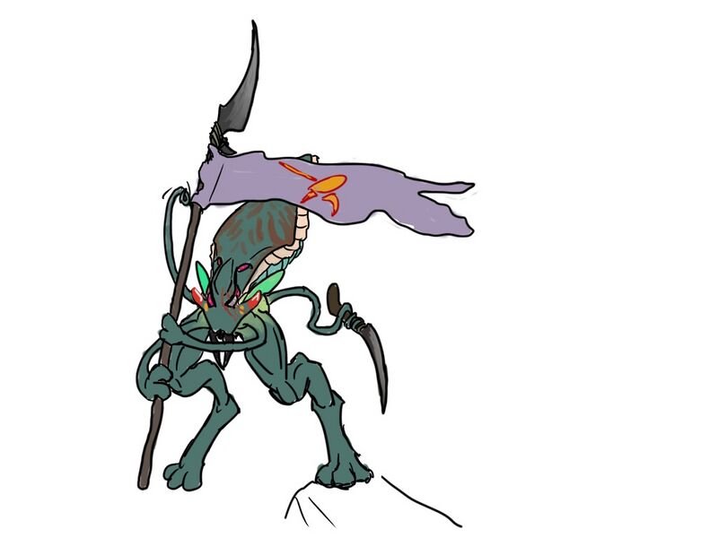 File:Nad'suul Flag.jpg