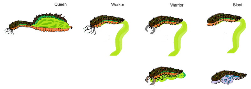 File:Nesting Ground Glund.png