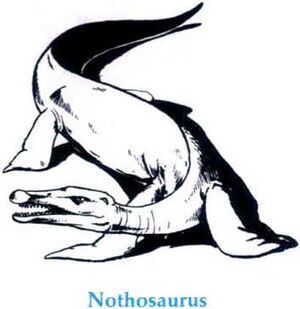 Nothosaurus MC3.jpg