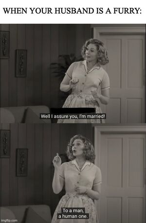 Odd Couple Meme.jpg