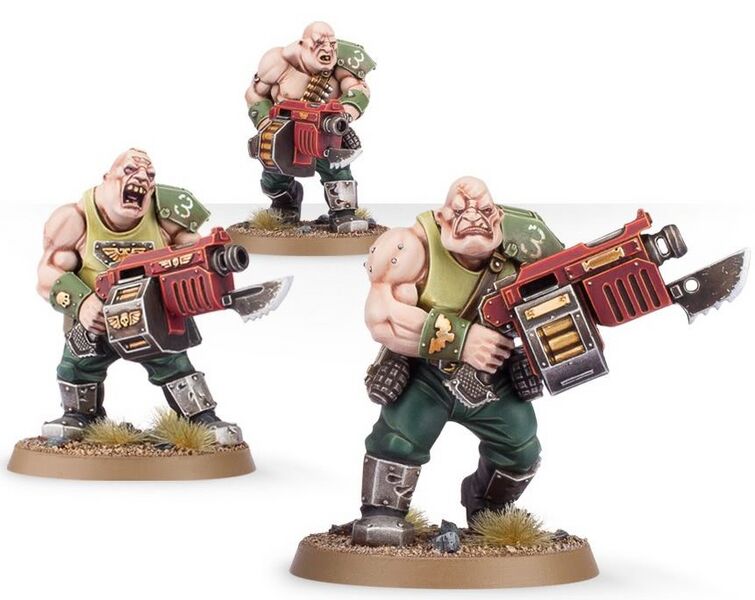 File:Ogryns6th.jpg
