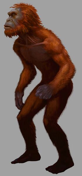File:Orangpendak PF.jpg