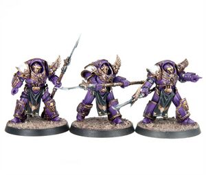 Phoenix guard2.jpg