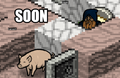 Dwarf stares menacingly at pig.