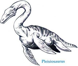 Pleisiosaurus MC3.jpg