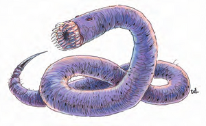 Purple worm MM 2e.png