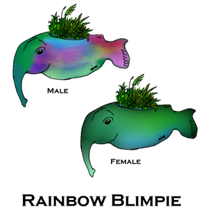 RainbowBlimpie 00.png