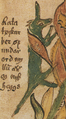 Their namesake, Ratatoskr, in a 17th century Icelandic manuscript.