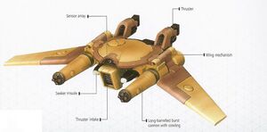 Remora 1.jpg