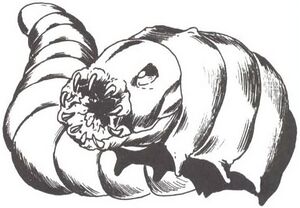 Rot grub MCV2.jpg
