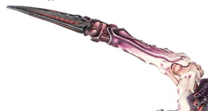 SK Talons.PNG
