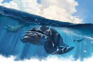Sais-turtle-ship-splash.png