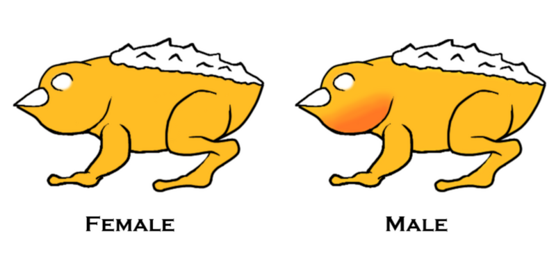 File:Saltback (Part 6-2).png