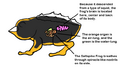 Thumbnail for version as of 20:23, 21 January 2025