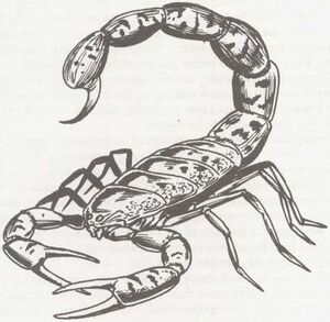 Scorpion MC1.jpg