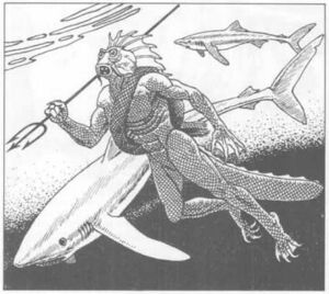Shark-kin AC9.jpg