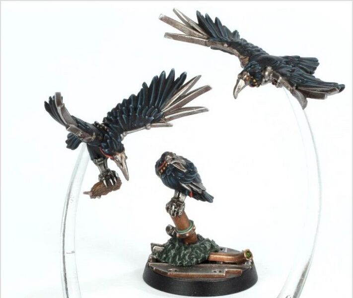 File:SheenBirds.jpg