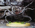 Thumbnail for version as of 20:21, 21 January 2025
