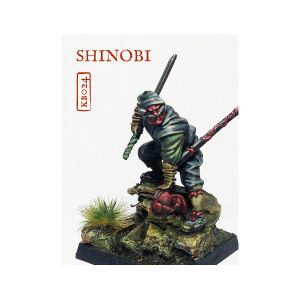 Shinobi-Middle Age.jpg