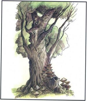 Singing tree MCAV1.jpg