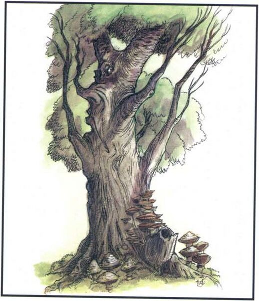 File:Singing tree MCAV1.jpg