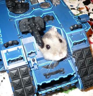 Skaven battletank.jpg