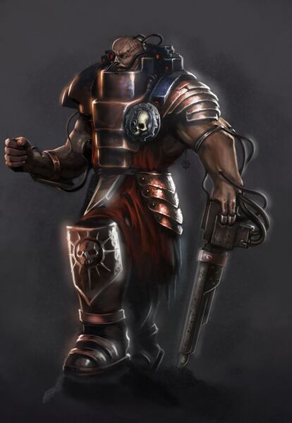 File:Skitarii mechanicum wikihammer.jpg