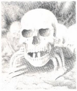 Skullrider Dragon 198.jpg