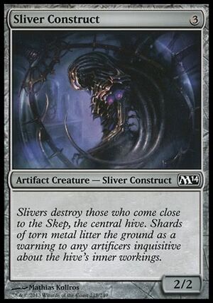 Sliver Construct.jpg