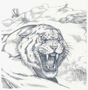 Snow tiger MCAV3.jpg