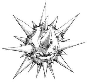 Spiky.jpg