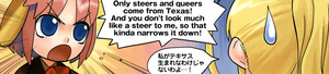 Steers.PNG