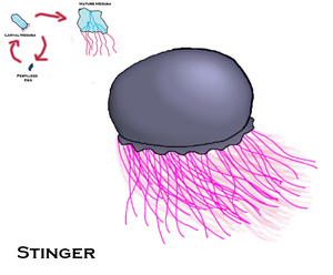Stinger 00.png