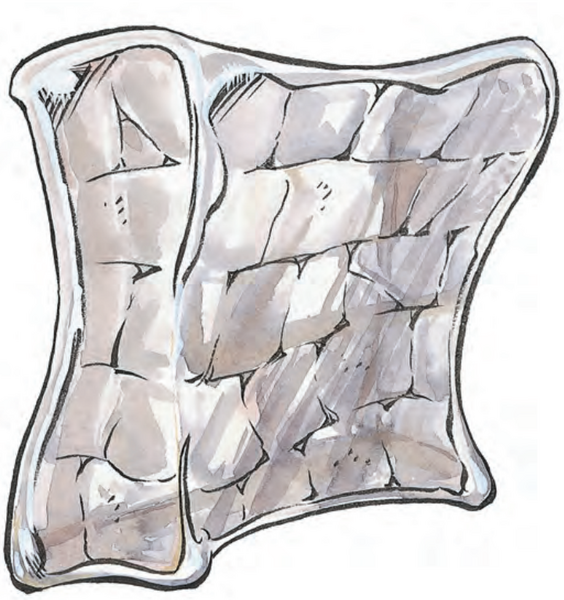 File:Stun Jelly 2e.png