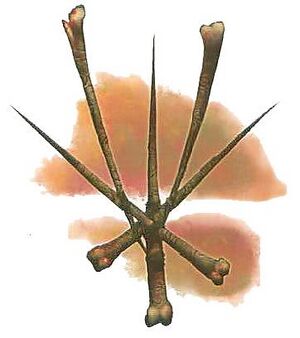 Symbol of The Devourer.jpg
