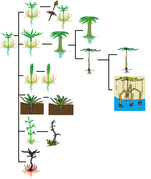 File:Tapascu.png