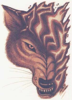 Temporal dog MCAV3.jpg