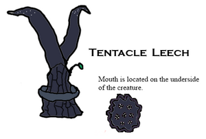 TentacleLeech 00.png
