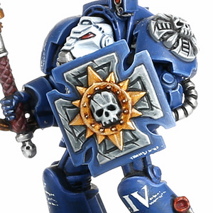TerminatorStormShield.png