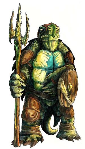 Tortle Male.jpg