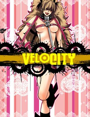 VeloCity equipment cover.jpg