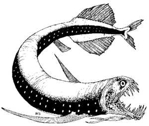 Viperfish Dragon 235.png