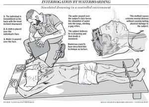 Waterboarding howto.jpg