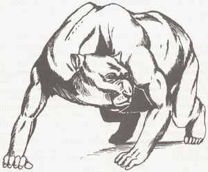 Werebear MCV1.jpg