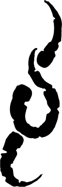 File:White Howlers.png