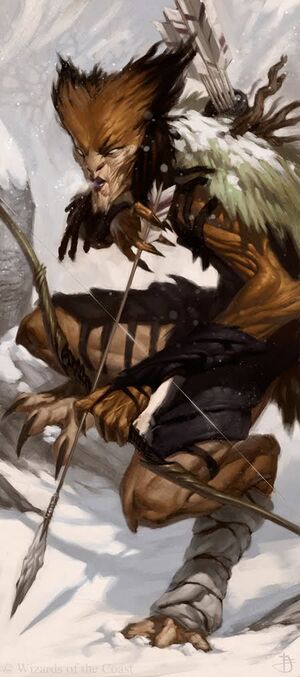 Wilden in Winter.jpg