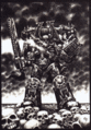 Thumbnail for version as of 20:21, 21 January 2025